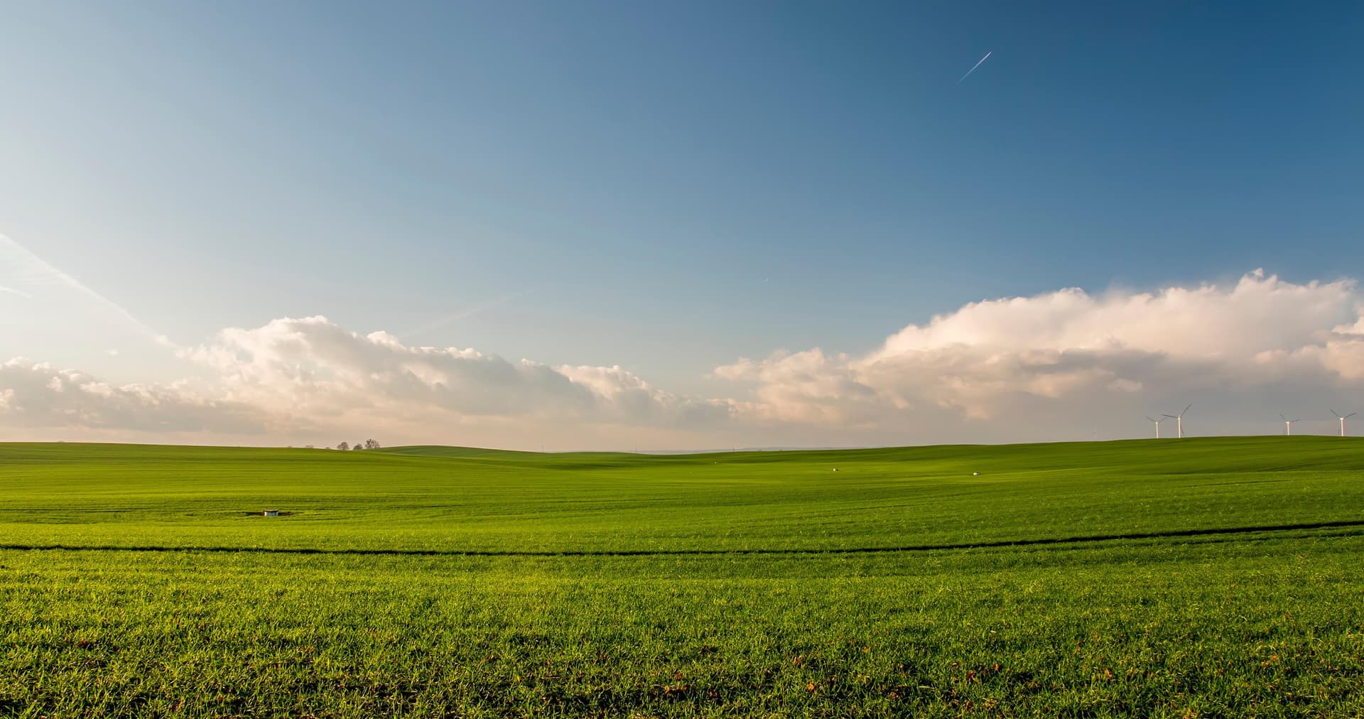 Fertile Egyptian Agricultural Land